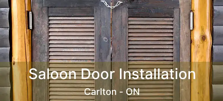  Saloon Door Installation Carlton - ON