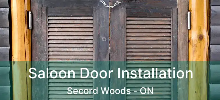 Saloon Door Installation Secord Woods - ON