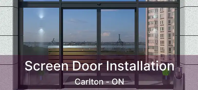 Screen Door Installation Carlton - ON