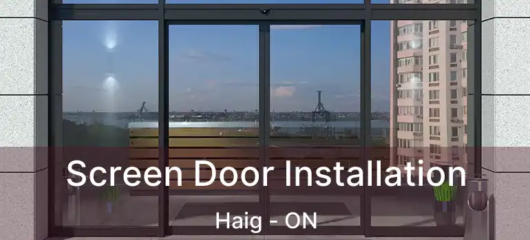  Screen Door Installation Haig - ON