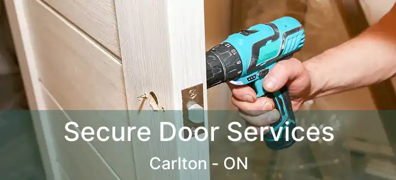  Secure Door Services Carlton - ON