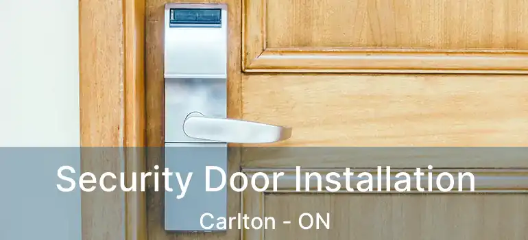 Security Door Installation Carlton - ON