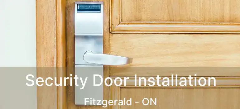  Security Door Installation Fitzgerald - ON