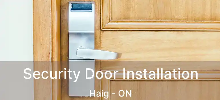  Security Door Installation Haig - ON