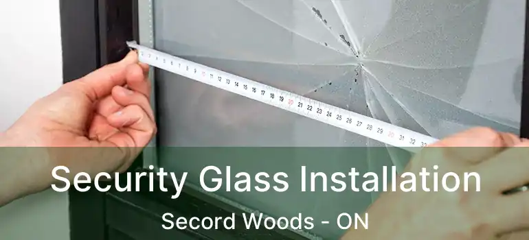 Security Glass Installation Secord Woods - ON