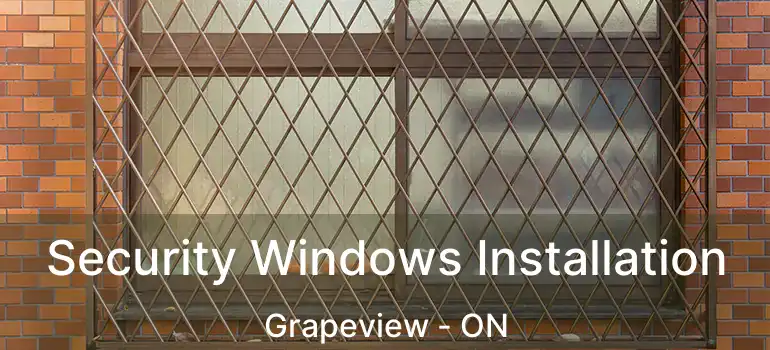 Security Windows Installation Grapeview - ON