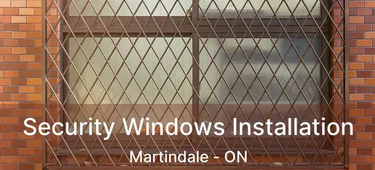  Security Windows Installation Martindale - ON