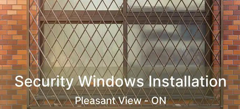  Security Windows Installation Pleasant View - ON