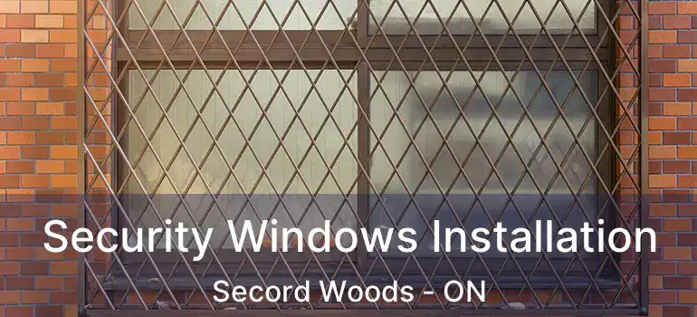  Security Windows Installation Secord Woods - ON