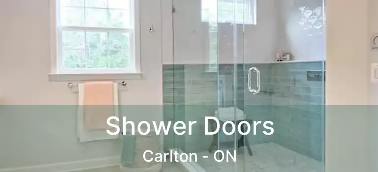 Shower Doors Carlton - ON