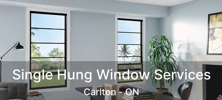  Single Hung Window Services Carlton - ON