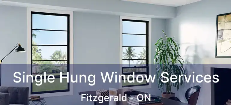  Single Hung Window Services Fitzgerald - ON