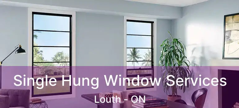  Single Hung Window Services Louth - ON