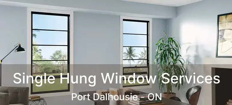  Single Hung Window Services Port Dalhousie - ON