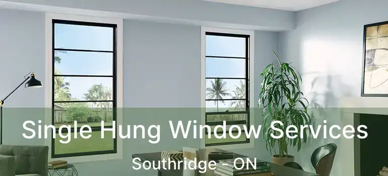  Single Hung Window Services Southridge - ON