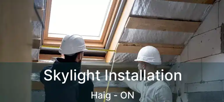  Skylight Installation Haig - ON