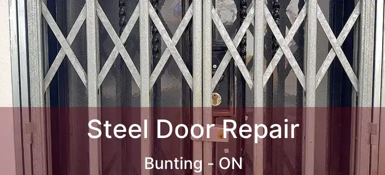 Steel Door Repair Bunting - ON