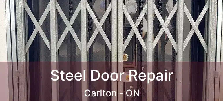 Steel Door Repair Carlton - ON