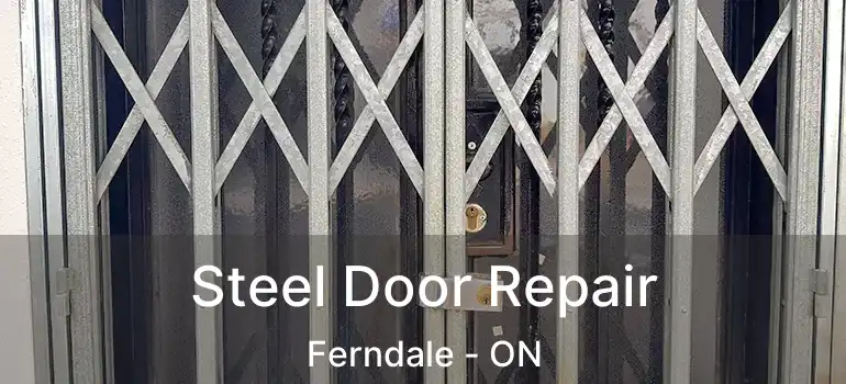 Steel Door Repair Ferndale - ON