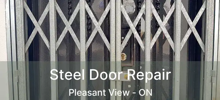 Steel Door Repair Pleasant View - ON