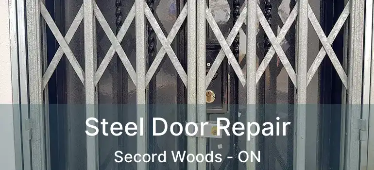 Steel Door Repair Secord Woods - ON