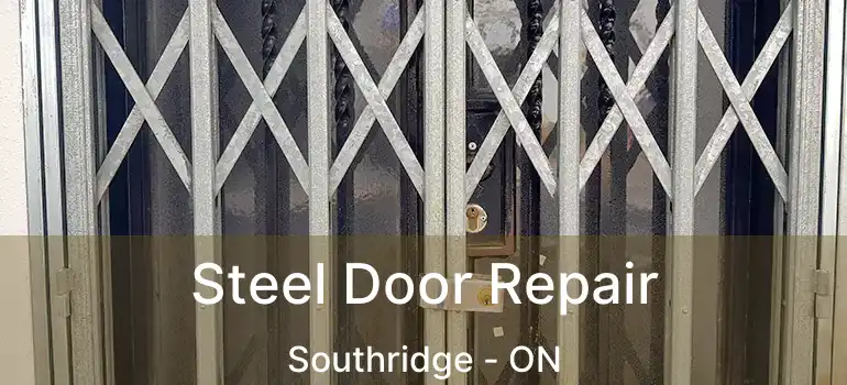 Steel Door Repair Southridge - ON