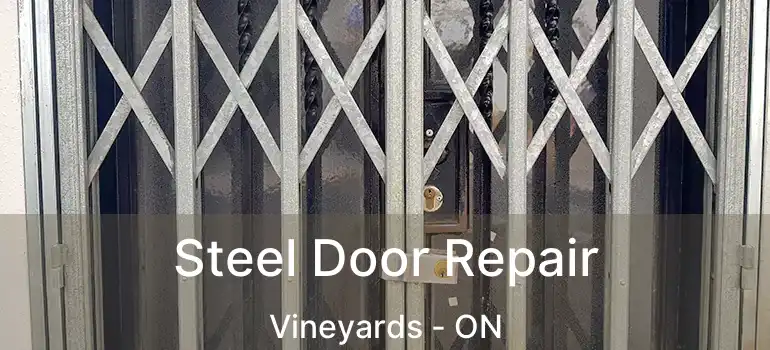 Steel Door Repair Vineyards - ON
