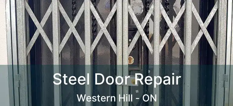 Steel Door Repair Western Hill - ON