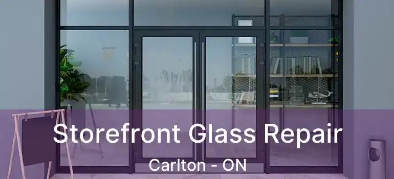  Storefront Glass Repair Carlton - ON