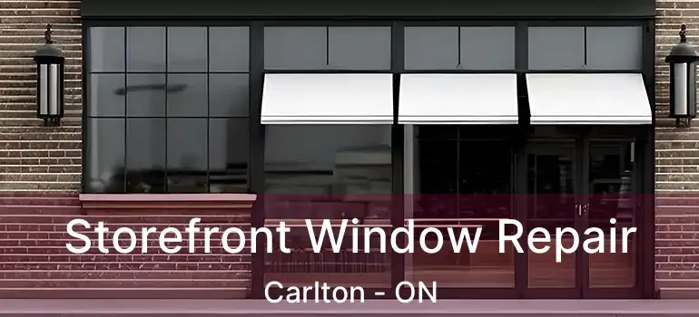  Storefront Window Repair Carlton - ON