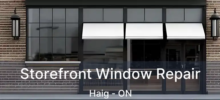  Storefront Window Repair Haig - ON