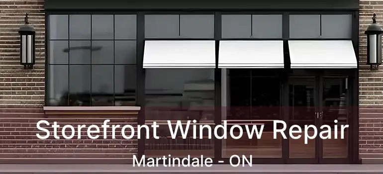  Storefront Window Repair Martindale - ON