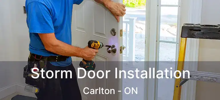  Storm Door Installation Carlton - ON