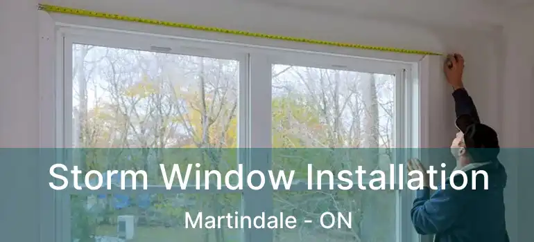  Storm Window Installation Martindale - ON