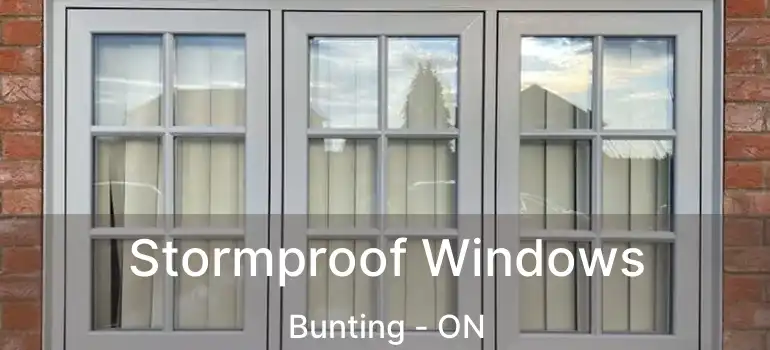  Stormproof Windows Bunting - ON