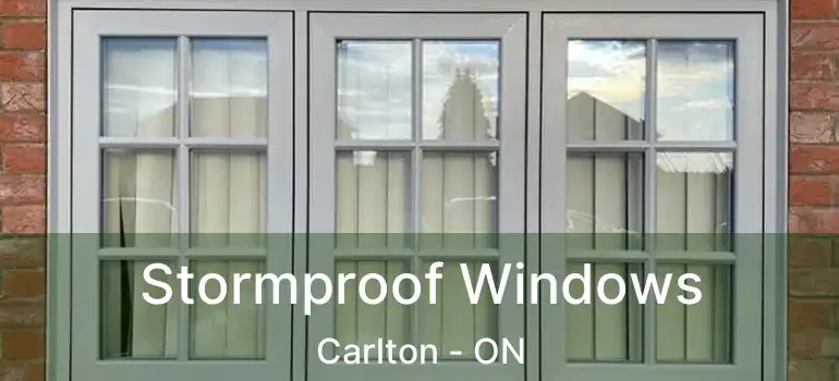  Stormproof Windows Carlton - ON