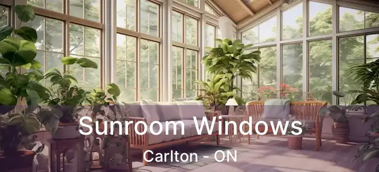 Sunroom Windows Carlton - ON