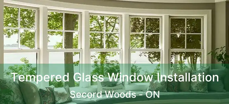  Tempered Glass Window Installation Secord Woods - ON