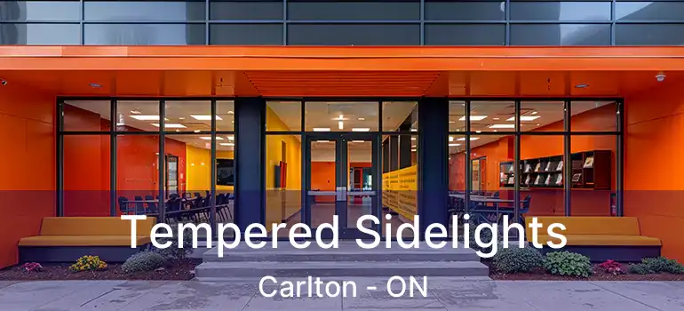 Tempered Sidelights Carlton - ON