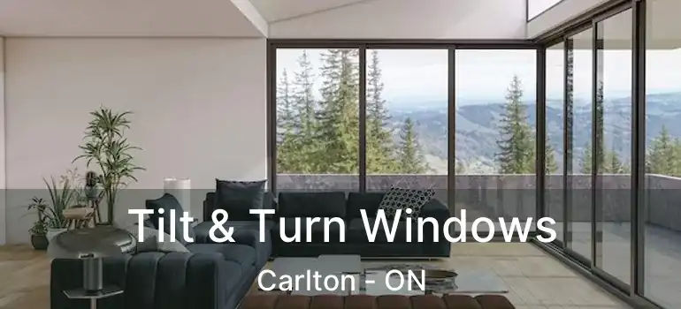 Tilt & Turn Windows Carlton - ON