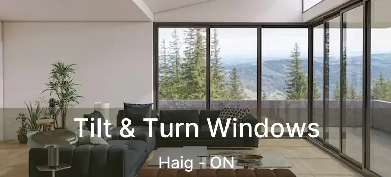 Tilt & Turn Windows Haig - ON