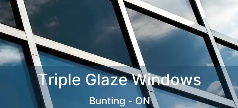  Triple Glaze Windows Bunting - ON