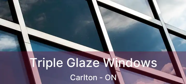  Triple Glaze Windows Carlton - ON