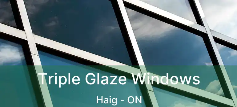  Triple Glaze Windows Haig - ON