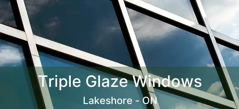  Triple Glaze Windows Lakeshore - ON