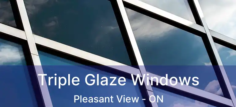  Triple Glaze Windows Pleasant View - ON