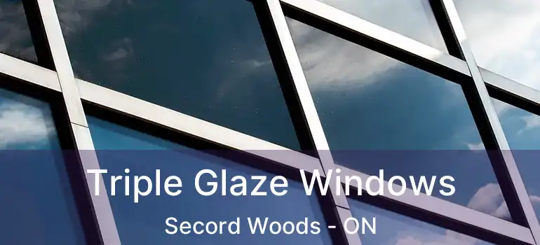  Triple Glaze Windows Secord Woods - ON