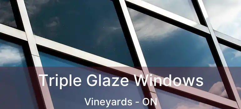  Triple Glaze Windows Vineyards - ON