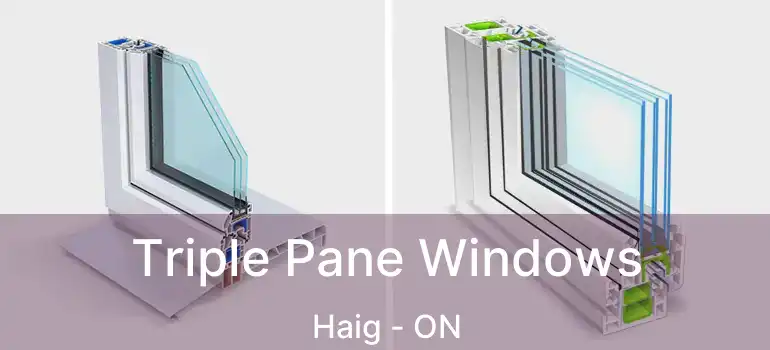  Triple Pane Windows Haig - ON