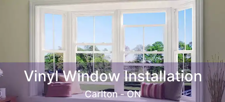  Vinyl Window Installation Carlton - ON